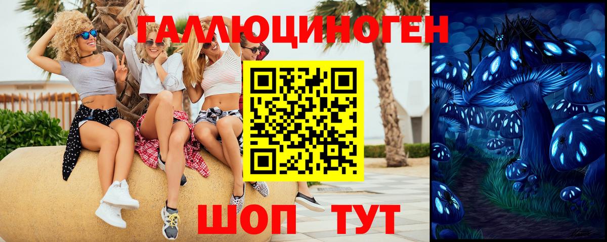 Псилоцибиновые грибы мицелий  Вход с VPN  Псилоцибиновые грибы мухоморы  Черногорск 