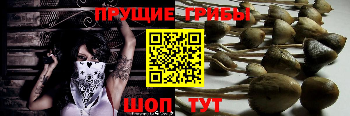 Псилоцибиновые грибы Magic Shrooms Черногорск